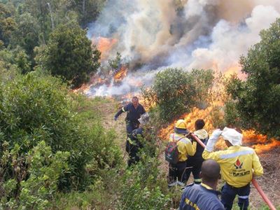 Eden and George reveal fire hazard plan